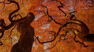 autumn tree shinjuku gyoen national