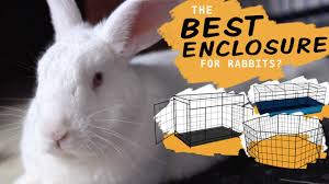 the best cage for house rabbits it s