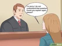 Image result for how a lawyer should speak to a judge