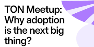 TON meetup Kaduna - Why Adoption Is The Next Big Thing