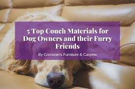 couch materials for dog owners
