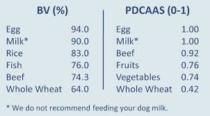 Protein The Whole Dog Market