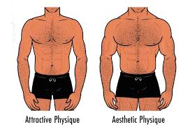 how to build an attractive physique
