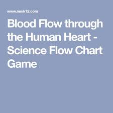 Blood Flow Through The Human Heart Science Flow Chart Game