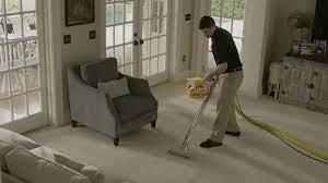 stanley steemer carpet cleaning special