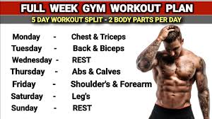 gym workout plan 5 day workout split