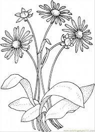Daisies are such a sweet and innocent flower. Coloring Pages Daisy 8 Natural World Flowers Free Printable Coloring Library