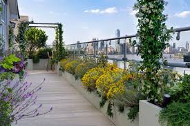 Roof Garden Design Rooftop Terrace Design