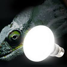 E27 220v Reptile Basking Light Heat Lamp Heater Uvb Uva Halogen Bulb 25 50 75 100w Wish