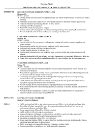 How do you write a cv with no experience and which sections should you include in the cv? Customer Experience Manager Resume Samples Velvet Jobs