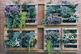 21 vertical garden ideas diy looks