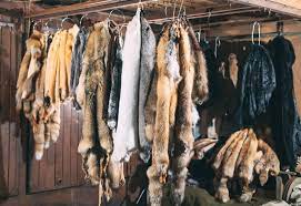 Ban Fur Trapping Secret