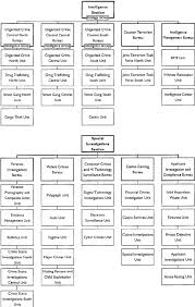 Organizational Chart Of The Njsp Investigations Branch After