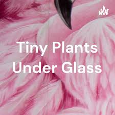 Tiny Plants Under Glass