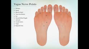 Vagus Nerve Points Drawing Foot Zoning Youtube Vagus
