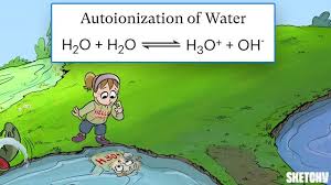 Ph And The Ionization Of Water Free