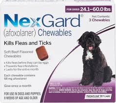 Nexgard Chewable Tablets For Dogs 24 1 60 Lbs 3 Treatments Purple Box