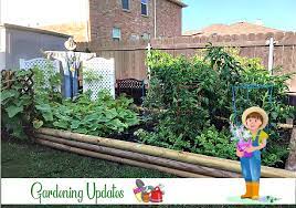 Gardening Mommy S Kitchen