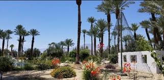 date farm in southern california