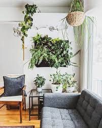 stunning living wall ideas for any room