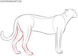 Draw the upper back in a slight curve. How To Draw A Cheetah Easy Drawing Art