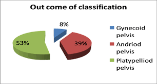 A Pie Chart Showing The Percentage Outcome Of The Various