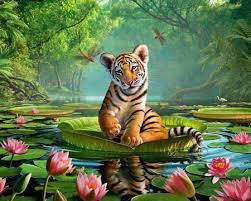 adorable tiger cub cats s