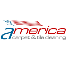 america carpet tile cleaning 12330