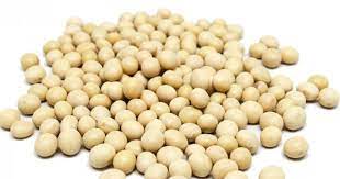 dried soy beans