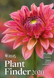 Flowers, trees, succulents, cacti and more! Rhs Plant Finder Rhs Gardening