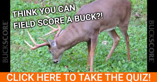 If your yard and garden have been taken over by hungry deer you can scare them away with sudden bursts of water, dogs and predator urine. Buckscore Field Scoring Deer Quiz Buckscore
