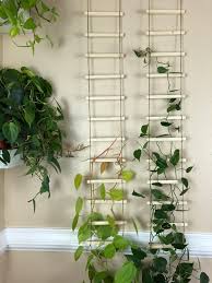 Hanging Wood Trellis For Indoor Plants
