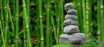 what is a zen garden how to create