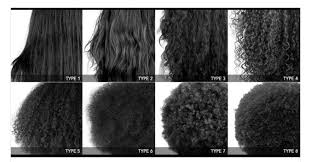 Pin By Chantal Fisher On Hair Hair Type Hair Type Chart