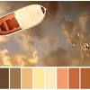 Life of Pi - Significance of Color