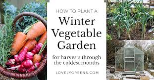 How To Plant A Winter Vegetable Garden