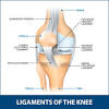 Knee ligament injuries stanford health care. 1