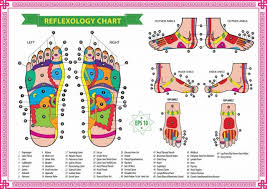 Learn Reflexology With Free Charts Points For Specific