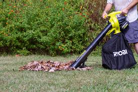 Vacuuming up your acorns from your lawn is a great way to save on the joints. How To Pick Up Acorns Best Yard Vacuum For Acorns 2021