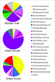 Average Composition Of The Bacterial Community In Mothers