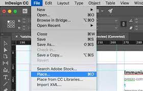 indesign how to insert images in your