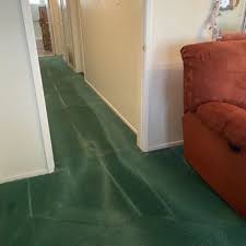 family carpet upholstery cleaning