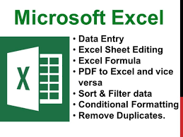 Do Microsoft Excel Assignments