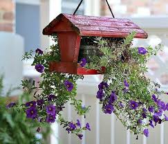 15 Outdoor Plant Container Ideas