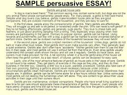 Persuasive Essay Rubric 10th Grade Outline Examples With Of An