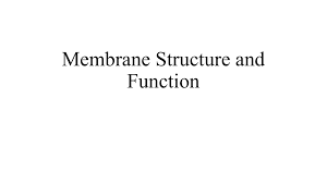 Membrane Structure And Function Answers