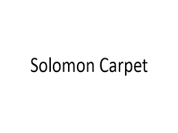 solomon carpet home