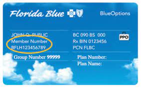 Florida Blue Medicare gambar png