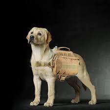 jiepai dog backpack harness dog hiking