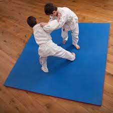 martial arts floor mat red blue 40mm